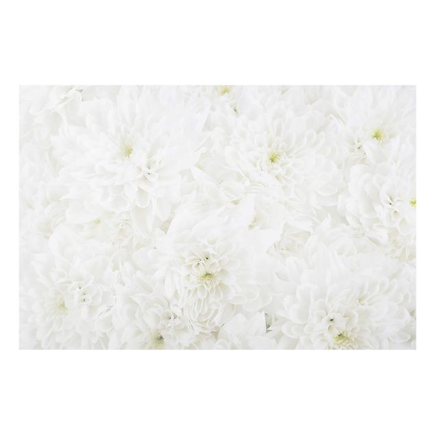 Obrazy nowoczesne Dahlie Morze kwiatów białe