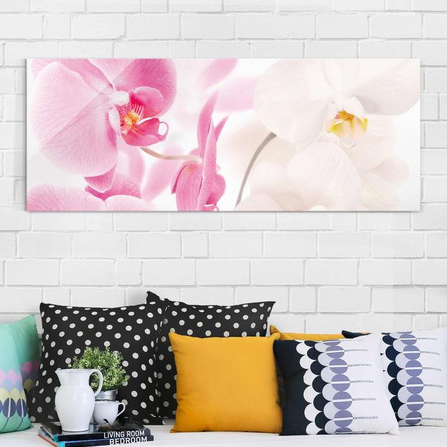 Obraz storczyk na szkle Delikatne orchidee