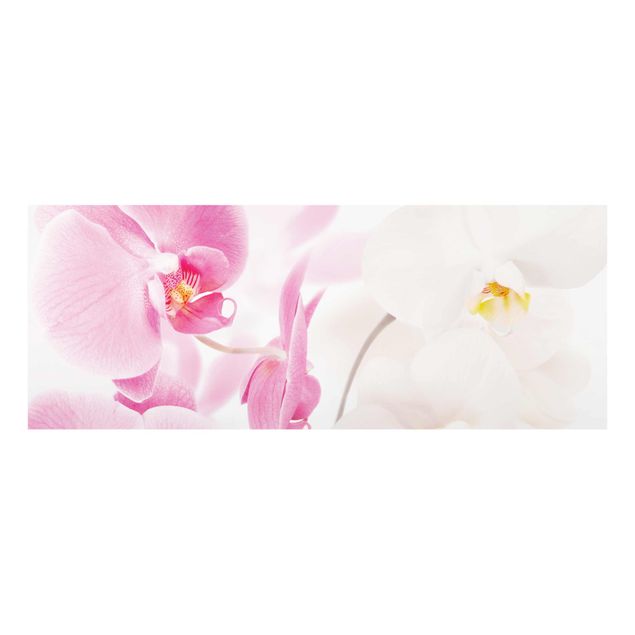 Obrazy do salonu Delikatne orchidee
