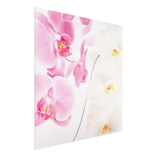 Obrazy na szkle kwadrat Delikatne orchidee