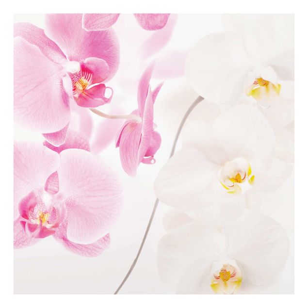 Obrazy do salonu Delikatne orchidee