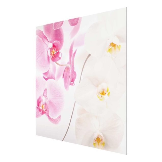 Obrazy nowoczesne Delikatne orchidee