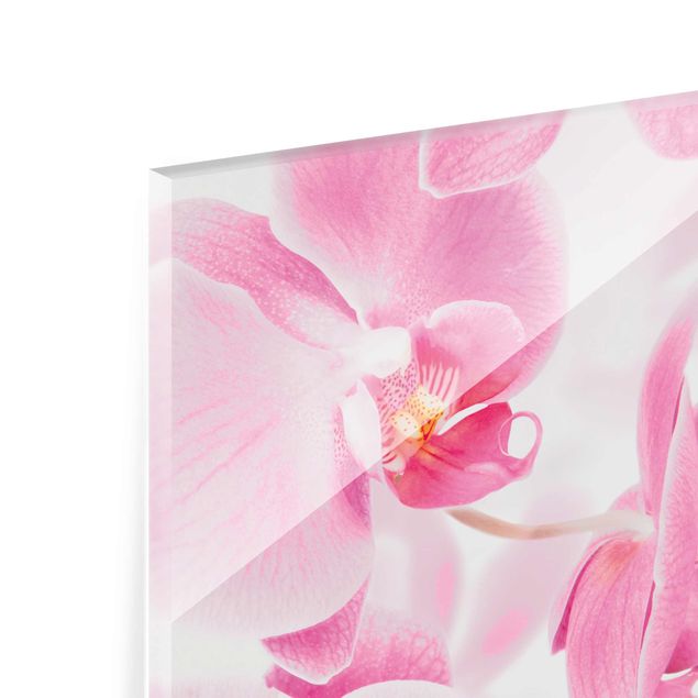 Obrazy kwiatowe Delikatne orchidee