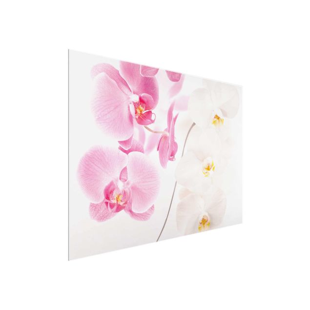 Obrazy na szkle poziomy Delikatne orchidee