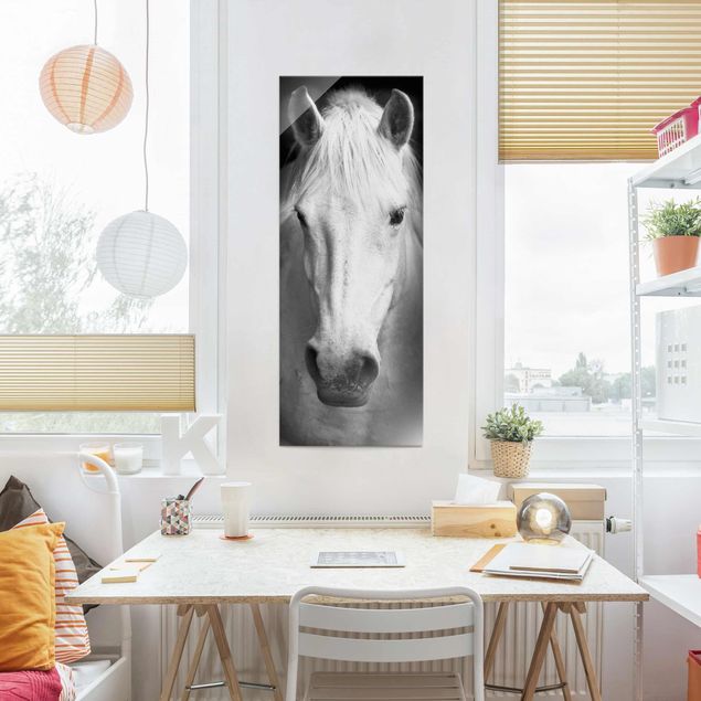 Obrazy na szkle portret Marzenie o koniu