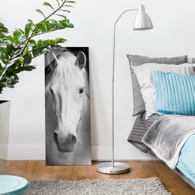 Obrazy na szkle zwierzęta Marzenie o koniu