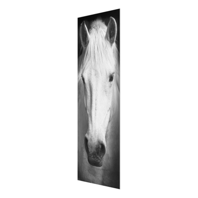 Obrazy zwierzęta Marzenie o koniu