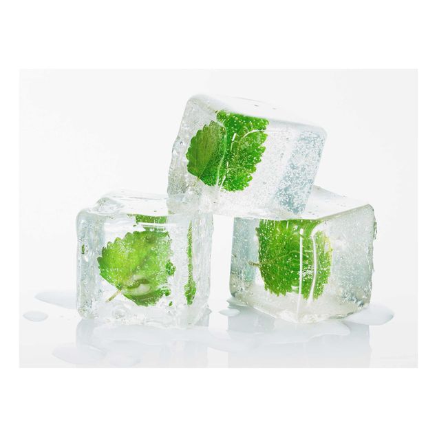 Magnettafel Glas Trzy kostki lodu z melisą cytrynową