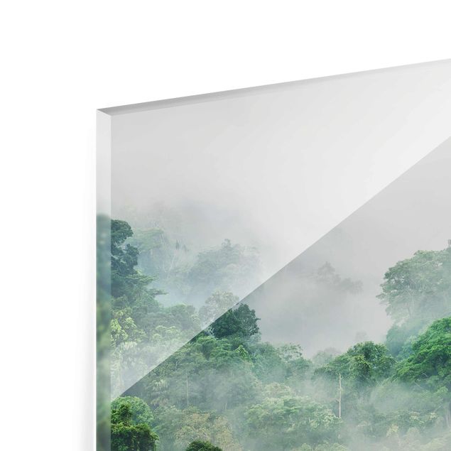 Obrazy na ścianę krajobrazy Dżungla we mgle