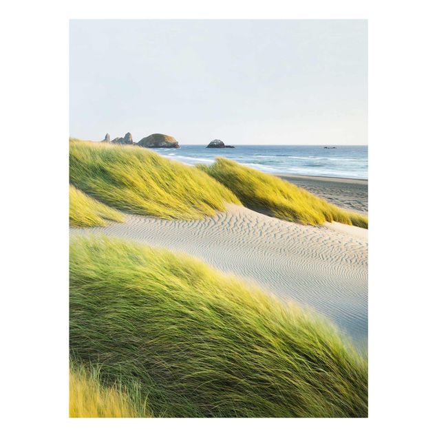 Obrazy na szkle plaża Wydmy i trawy nad morzem