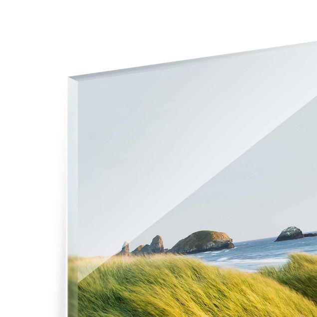 Obrazy nowoczesne Wydmy i trawy nad morzem