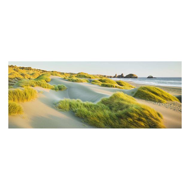 Obrazy na szkle plaża Wydmy i trawy nad morzem