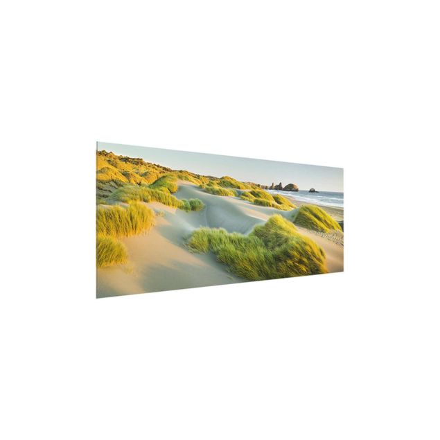Obrazy do salonu Wydmy i trawy nad morzem