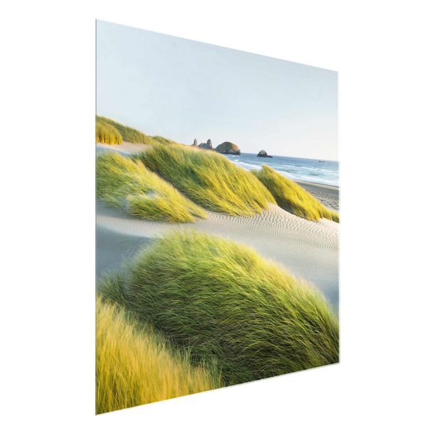Obrazy na szkle krajobraz Wydmy i trawy nad morzem