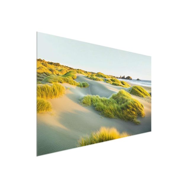 Obrazy na szkle krajobraz Wydmy i trawy nad morzem