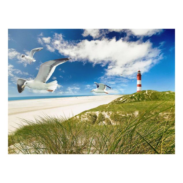 Obrazy na szkle plaża Bryza wydmowa