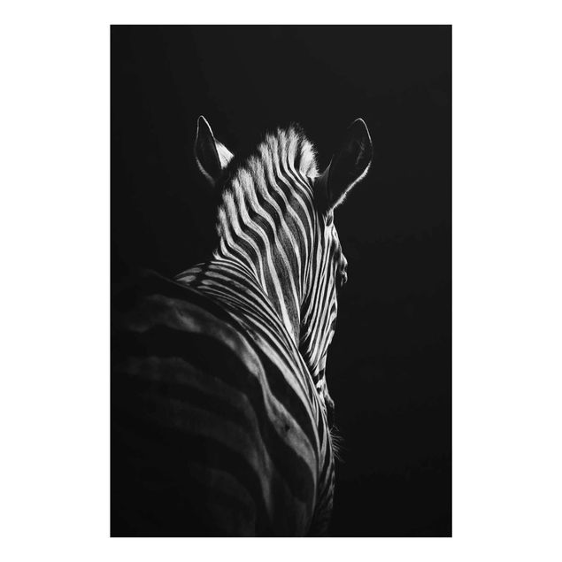 Obrazy na szkle zwierzęta Sylwetka zebry ciemnej