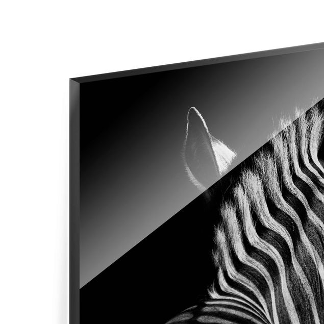 Zwierzęta obrazy Sylwetka zebry ciemnej