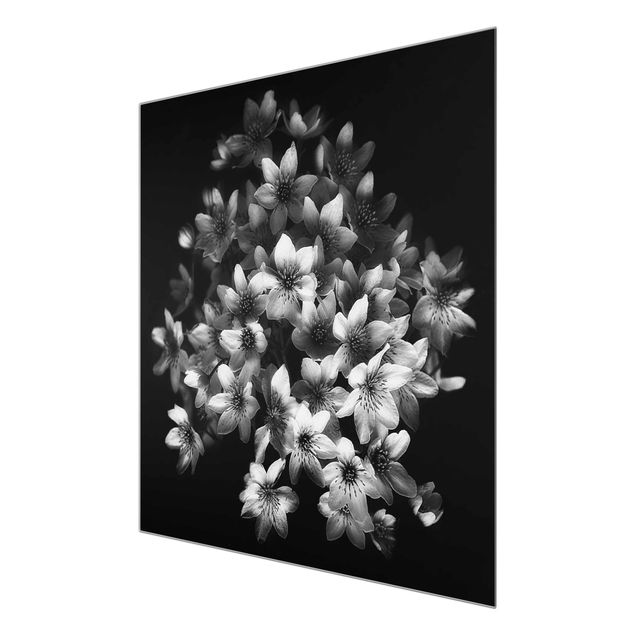 Obrazy motywy kwiatowe Bukiet ciemnych powojników