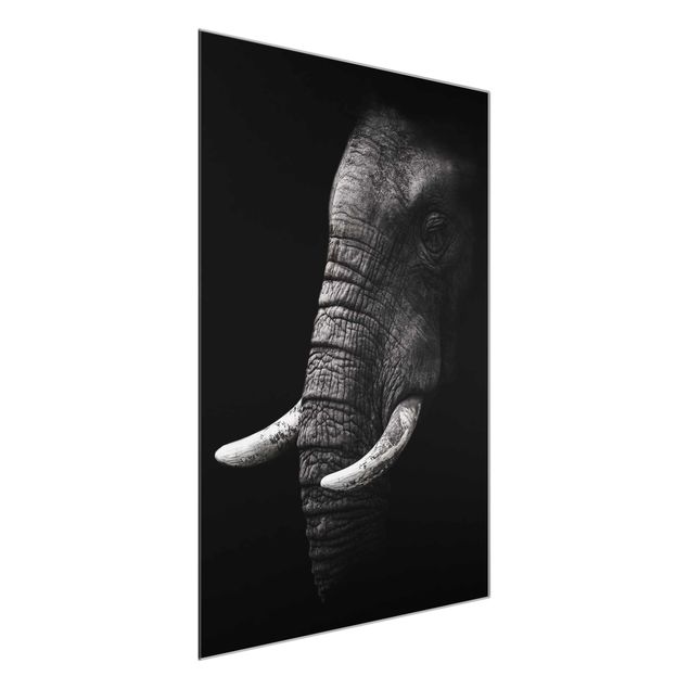 Obrazy na szkle krajobraz Portret ciemnego słonia