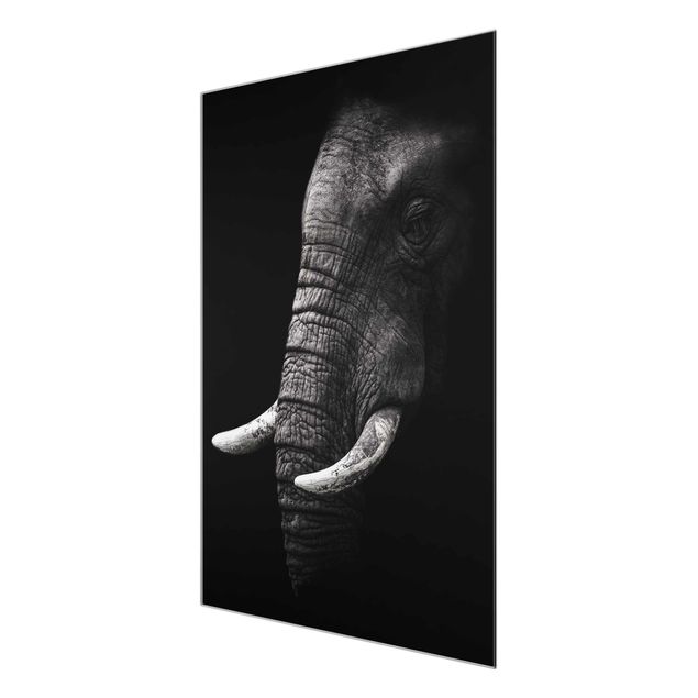 Obrazy do salonu Portret ciemnego słonia
