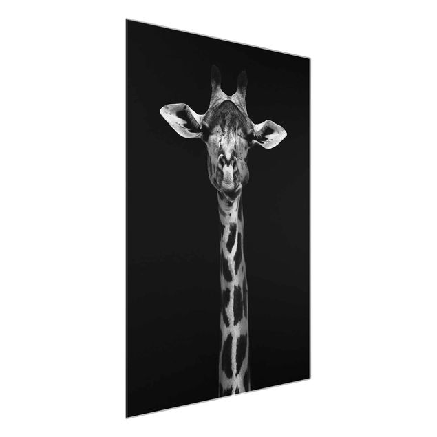 Obrazy żyrafa Portret ciemnej żyrafy