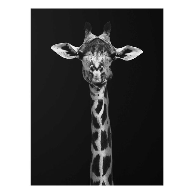 Obrazy na szkle zwierzęta Portret ciemnej żyrafy