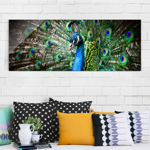 Obrazy na szkle panorama Drogi pawiu