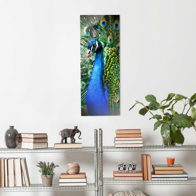 Obrazy na szkle portret Drogi pawiu