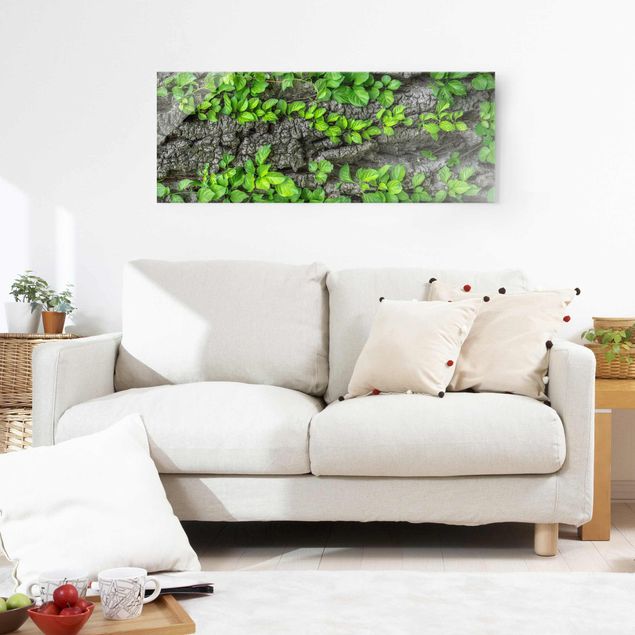 Obrazy na szkle krajobraz Kora drzewa bluszczu