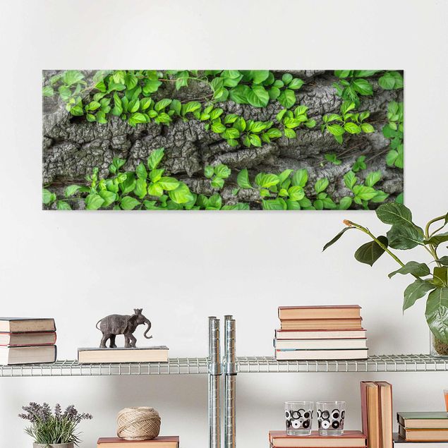 Obrazy na szkle panorama Kora drzewa bluszczu