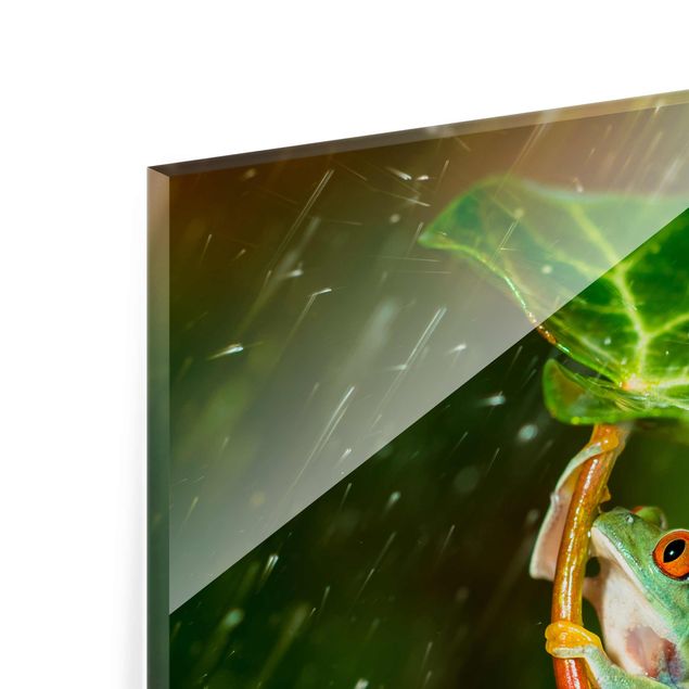 Zielony obraz Żaba w deszczu
