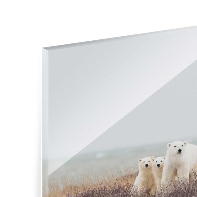 Obrazy ze zwierzętami Niedźwiedzica polarna i jej młode