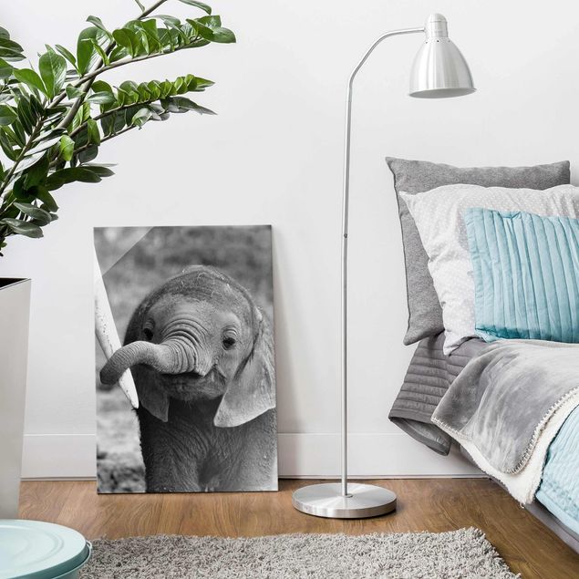 Obrazy na szkle portret Baby słoń