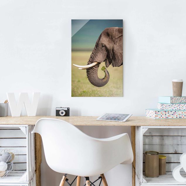 Obrazy na szkle portret Karmienie słoni w Afryce