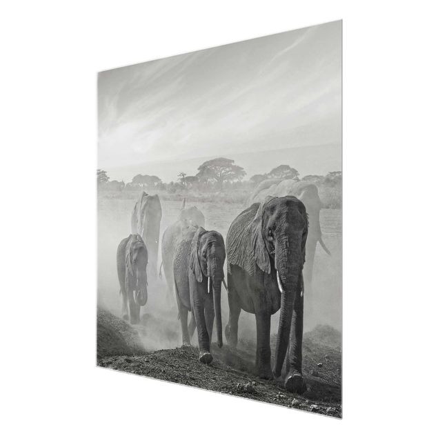 Nowoczesne obrazy do salonu Stado słoni