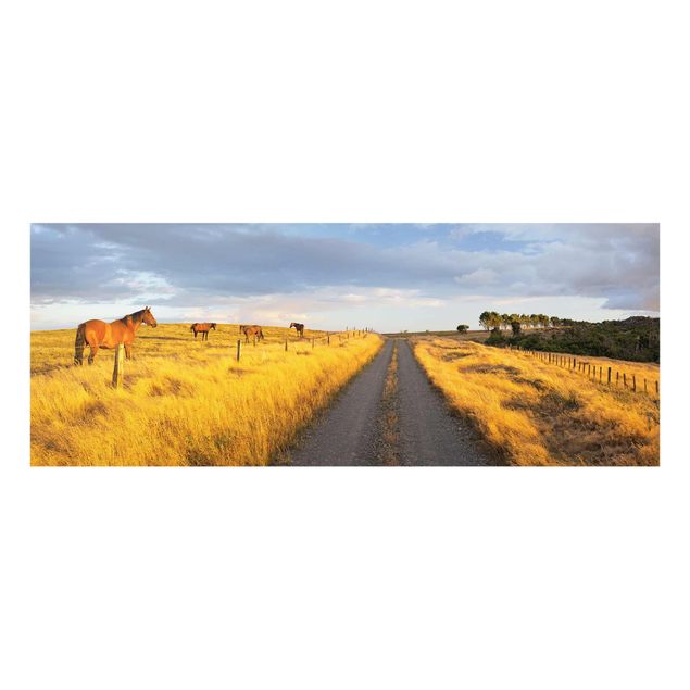 Obrazy na szkle zwierzęta Droga polna i konie w promieniach wieczornego słońca