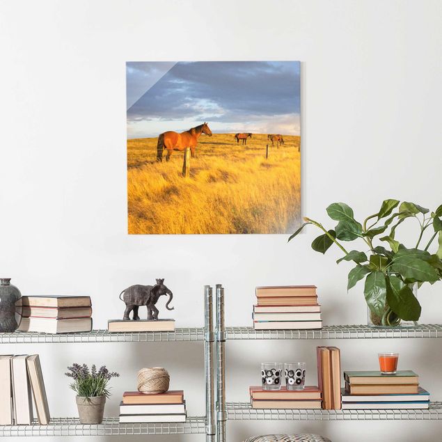 Obrazy na szkle kwadrat Droga polna i konie w promieniach wieczornego słońca