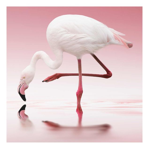 Obrazy do salonu nowoczesne Taniec flamingów