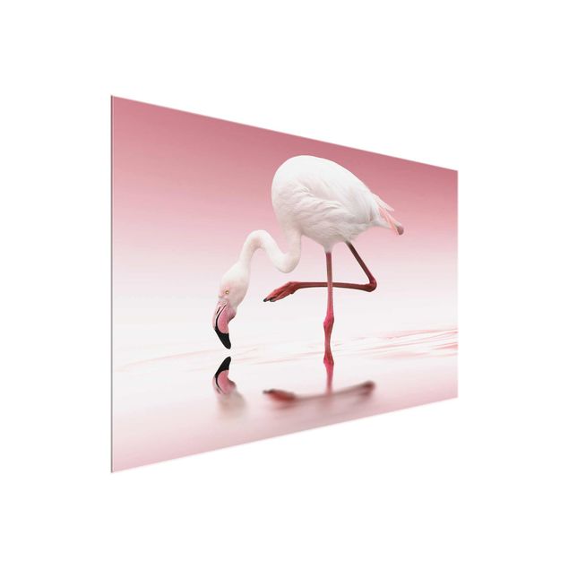 Obrazy na szkle zwierzęta Taniec flamingów