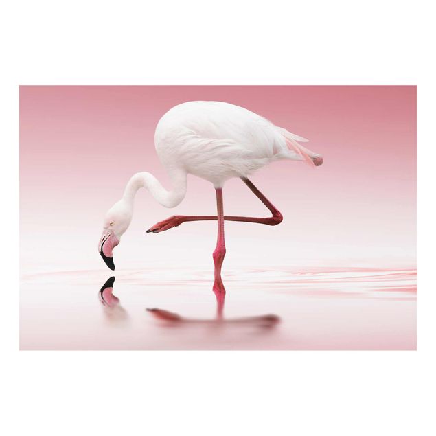 Obrazy do salonu nowoczesne Taniec flamingów