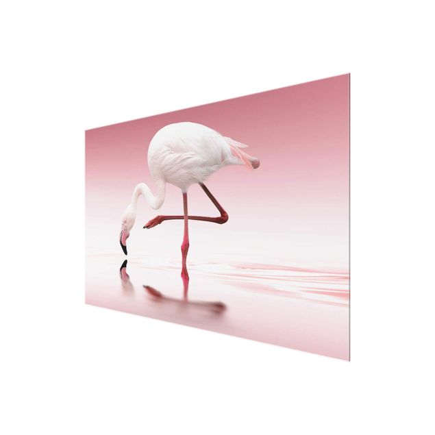 Nowoczesne obrazy Taniec flamingów