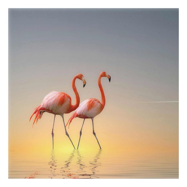 Obrazy na szkle zwierzęta Miłość flaminga