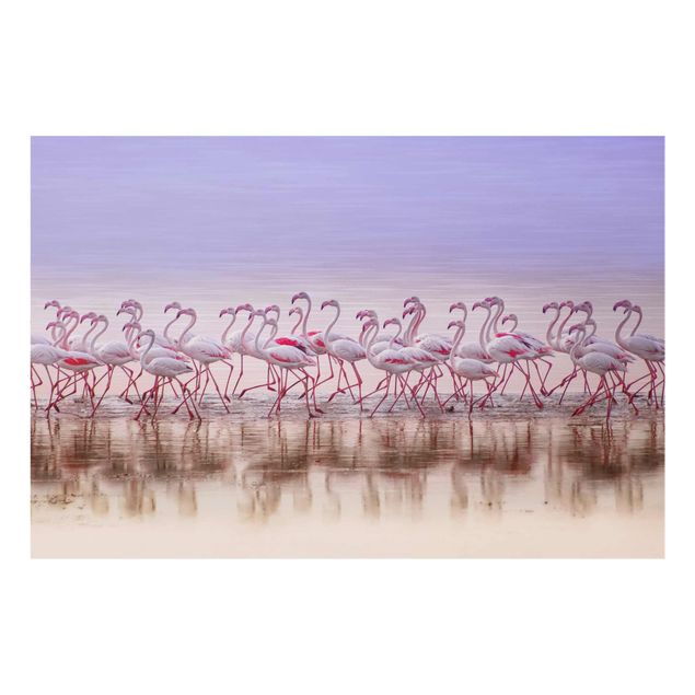 Obrazy nowoczesne Przyjęcie pod Flamingo