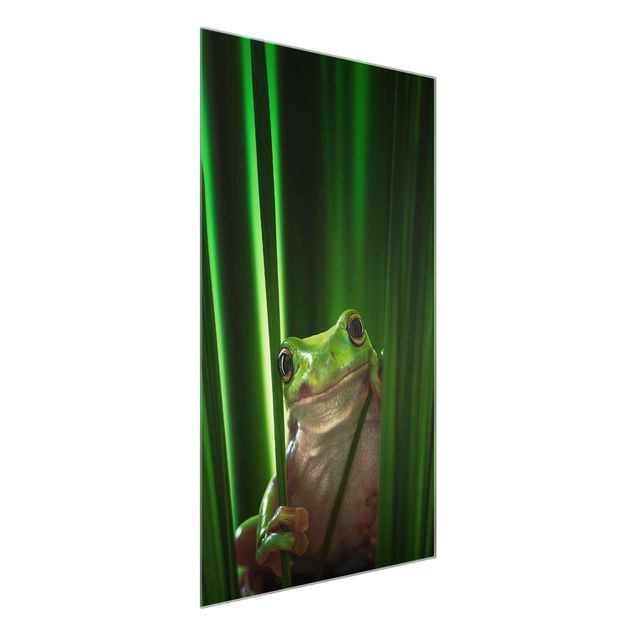 Obrazy do salonu nowoczesne Wesoła żaba