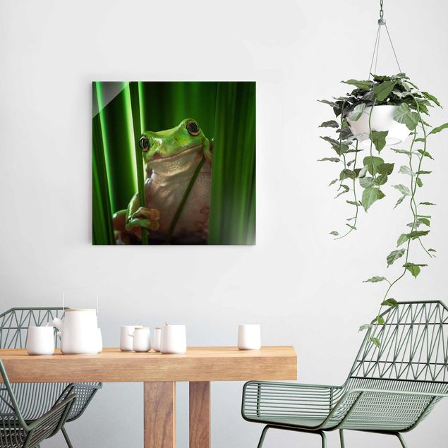 Obrazy na szkle kwadrat Wesoła żaba