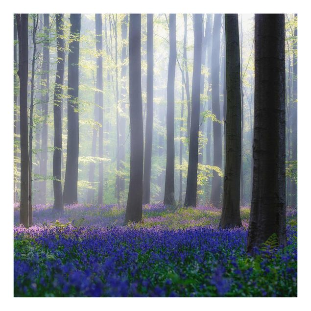 Obrazy nowoczesne Wiosenny dzień w lesie