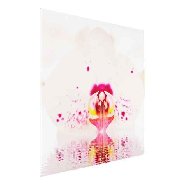 Obrazy na szkle kwadrat Orchidea w kropki na wodzie