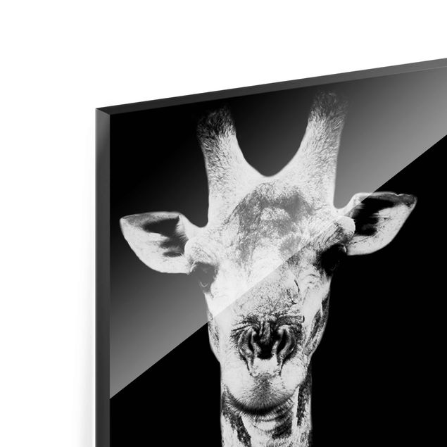 Obrazy zwierzęta Żyrafa Duet czarno-biały