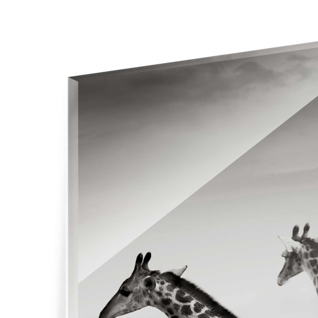 Obrazki czarno białe Polowanie na żyrafę